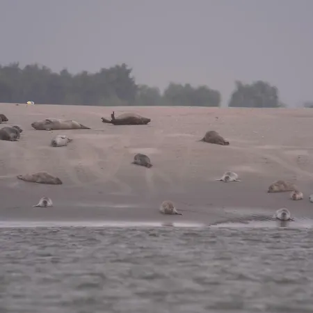 Semesterbostad La Grange Du Festel Oneux